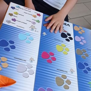 Dadoll - caccia al tesoro o gioco a tema parole